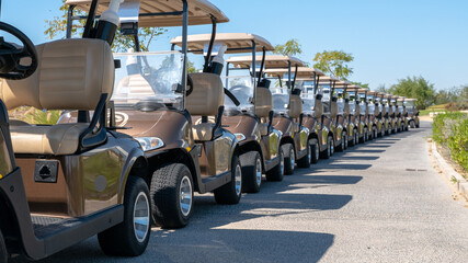 Wall Mural - A row of electric golf carts on a golf course.