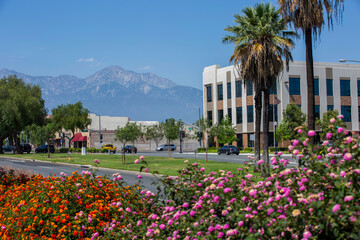 Wall Mural - Daytime view of downtown Ontario, California, USA.