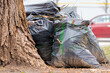 Segregacja śmieci. Ekologia. Odpady zielone. Czarne worki wypełnione organicznymi odpadami zielonymi. Recykling i zielona energia.