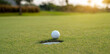 White golf ball on green grass near hole with golf course background,green tree sun rays. 