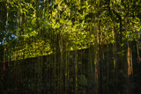 Fototapeta Krajobraz - leaves on the wall. Roads in the city of Indonesia