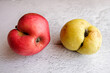 An ugly organic fruit - two strangely shaped apples on a gray background. Horizontal orientation. Buying imperfect foods is a way to deal with food waste.