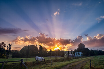 Wall Mural - country sunrise