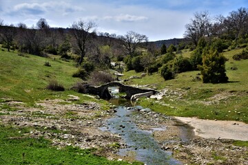 Poster - Old stone bridge in Evros Greece 