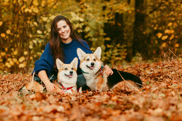 portrait of a laughing girl with two corgi dogs
