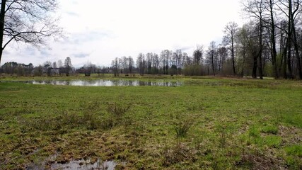 Sticker - Flooded meadows after spring downpours in Wegrow County, Masovian Voivodeship of Poland, 4k video