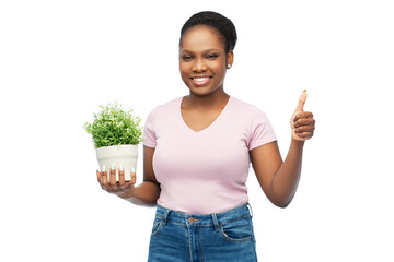 Sticker - environment, nature and people concept - happy smiling african american woman holding flower in pot showing thumbs up over white background