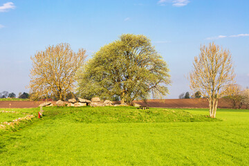 Sticker - Passage grave in a rural landscape