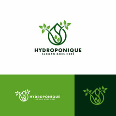 Wall Mural - hydroponic logo design template vector illustration