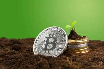 Sprout plant and bitcoin, growth of bitcoin crypto currency