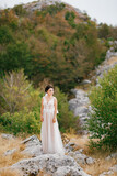 Fototapeta Konie - A sophisticated bride in a delicate lace dress stands on the rocks among the greenery in the mountains