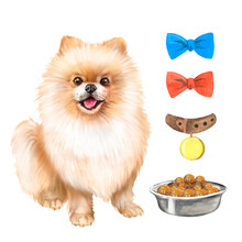 Watercolor Illustration With Beige Pomeranian, Bows, Dog Food, Medal, Dog, Pet 