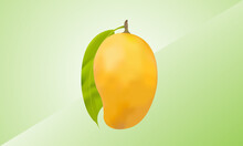 Mango Design I Vector Design I Yellow Mango