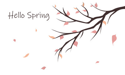 Wall Mural - Hello Spring Lettering spring season with leaf for greeting card and banner poster template background