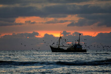 Fishing Boat On North Sea At Sunset