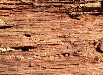 old wood texture