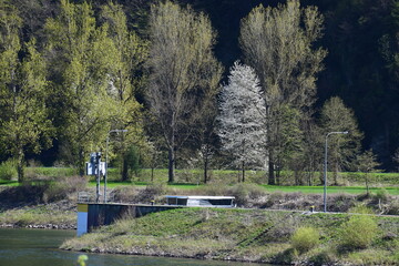 Sticker - Frühling an der Schleuse Müden an der Mosel