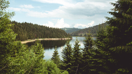 The beautiful landscapes in Belis - Romania - Apuseni Mountains & Forest