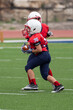 © Joe - Young athletic boy playing in a youth tackle football game