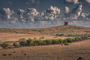 Amazing countryside landscape with an old tower in the Asinara island national park, Sardinia Italy