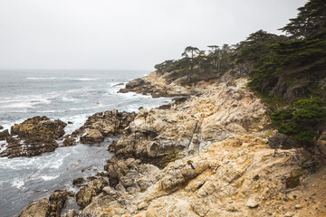 Wall Mural - Rocky coastline of Pebble Beach, California