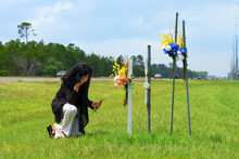 A Grieving Bereaved Woman Kneeling Down To Placing Flowers On Crosses Beside A Busy Road Marking The Location Of Where Her Friend Was Killed In A Terrible Drunk Driver Car Wreck.