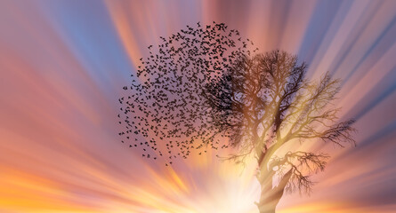 Aufkleber - Silhouette of birds flying over lone dead tree at sunset