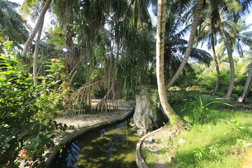 Wall Mural - green background tropical palm jungle foliage on the resort island