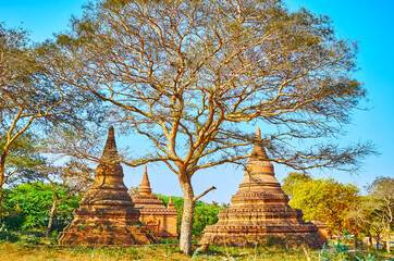 Canvas Print - Archaeological site in savannah, Bagan, Myanmar