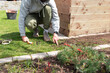 Ein Mann verlegt Kabel für Rasenroboter im Garten.