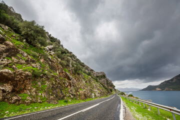 Wall Mural - Road on the coast