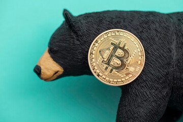 Bitcoin cryptocurrency coin with a grizzly bear. Bearish bitcoin trading