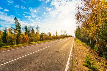 Wall Mural - Suburban autumn road going up the hill. Mixed forest. Sunset. Autumn evening. Beautiful nature. Russia, Europe. View from the side of the road.