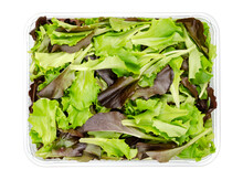 Fresh Picked Loose Leaf Lettuce, Red And Green Leaved Pluck Lettuce, In A Plastic Container, From Above. Also Pick Or Looseleaf Lettuce, Used For Salads And As Garnish. Isolated Over White Food Photo.