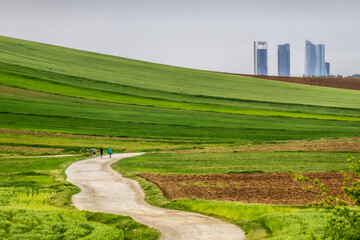 People walking between fields to the city.