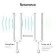 resonance. tuning fork which reflects the vibration.