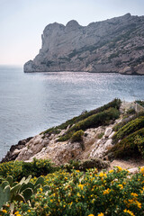 Wall Mural - Parc national des calanques, Marseille, France. Calanque de Sormiou au printemps