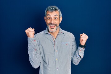 Poster - Handsome middle age man with grey hair wearing business shirt celebrating surprised and amazed for success with arms raised and open eyes. winner concept.