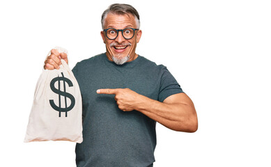 Sticker - Middle age grey-haired man holding dollars bag smiling happy pointing with hand and finger