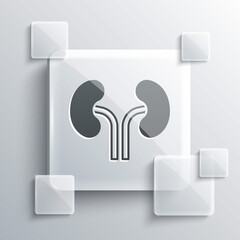 Sticker - Grey Human kidneys icon isolated on grey background. Square glass panels. Vector