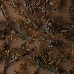 Wall Mural - Flat lay, top view. Floral pattern with small mimosa flowers, juniper, pussy willow on brown background. Spring or summer concept. A background with flowers.