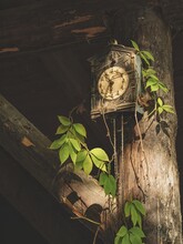 Old Retro Clock On A Pole In A Dark Corner Of The Garden