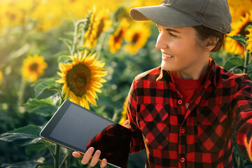 Wall Mural - Farmer with tablet in sunflowers field