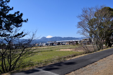 Wall Mural - 神奈川県松田 酒匂川遊歩道 富士山方面