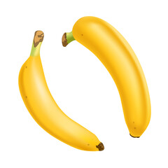 Set of 2 realistic bananas isolated on white background.. Tropical fruits. 3D vector illustration