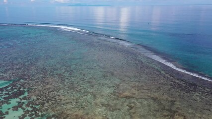 Wall Mural - climate change concept video. coral reef in french polynesia threatened by global warming. changes i