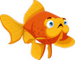 cute fish cartoon pose