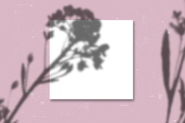 Aufkleber - Vector Transparent Shadows of Leaves. Decorative Design Elements for Collages and Mock Ups. Creative Overlay Effect for Mockups