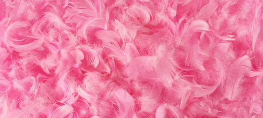 beautiful pink feathers.