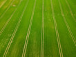 top down aerial green field with long path